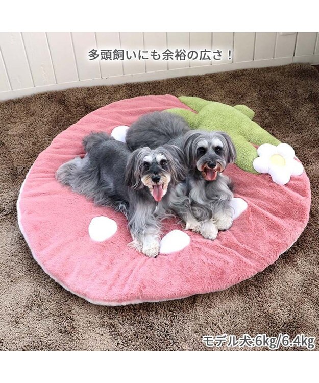PET PARADISE  ネット店限定 くすみ苺 マット (105×107㎝用) ピンク