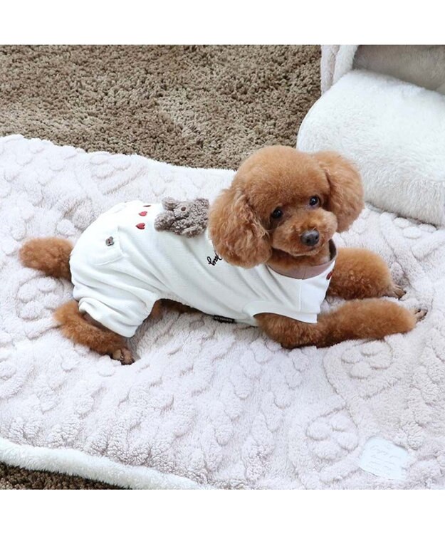 PET PARADISE ペットパラダイス ペティヒート プレミアム ロンパース くま 小型犬 ホワイト