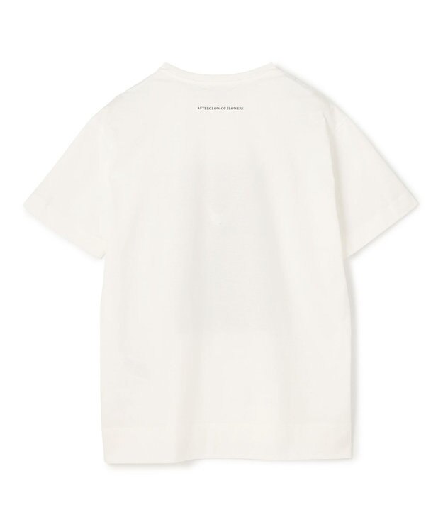 BEIGE， 【洗える・クロワッサン 掲載】PENTAS / オリジナルフォトプリントＴシャツ Calla lily