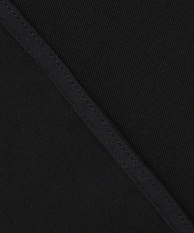 BEIGE， 【WEB限定・洗える】CELOSIA / シアースリーブスタンドカラーブラウス Black