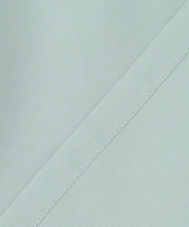 J.PRESS LADIES S Springピーチ ブラウス スモーキーミント系