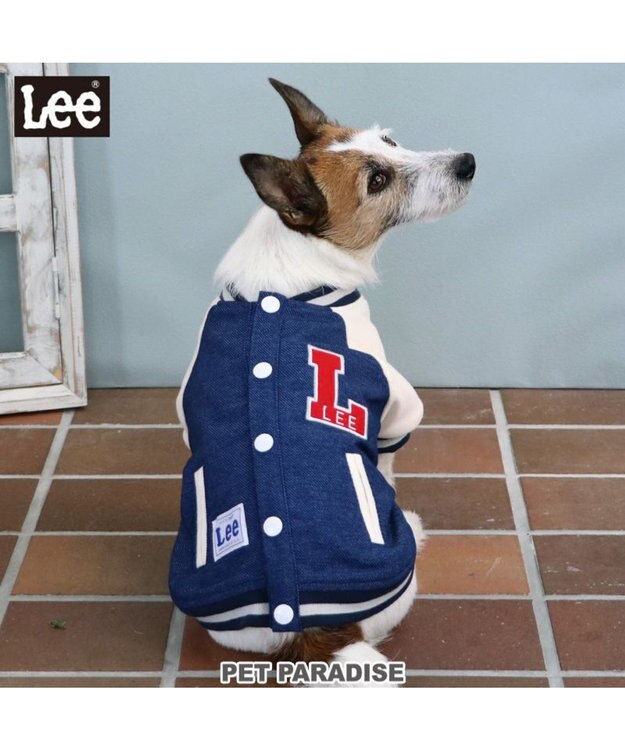 PET PARADISE Lee スタジャン 小型犬 ネイビー