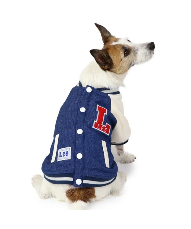 PET PARADISE Lee スタジャン 小型犬 ネイビー