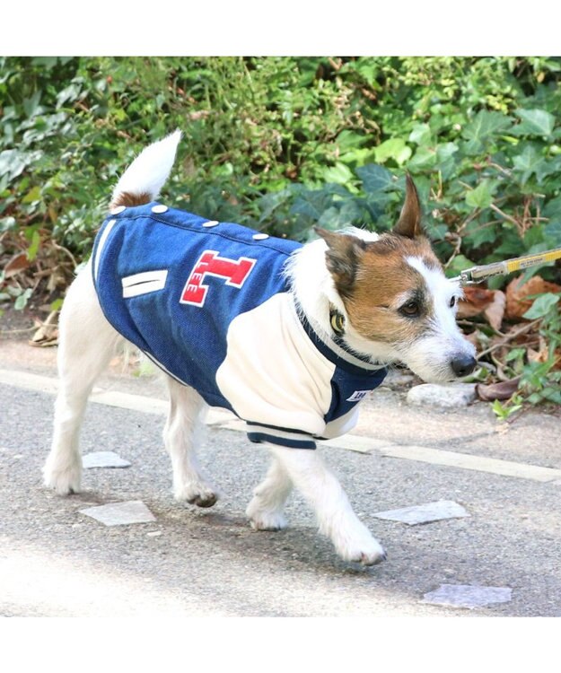 PET PARADISE Lee スタジャン 小型犬 ネイビー
