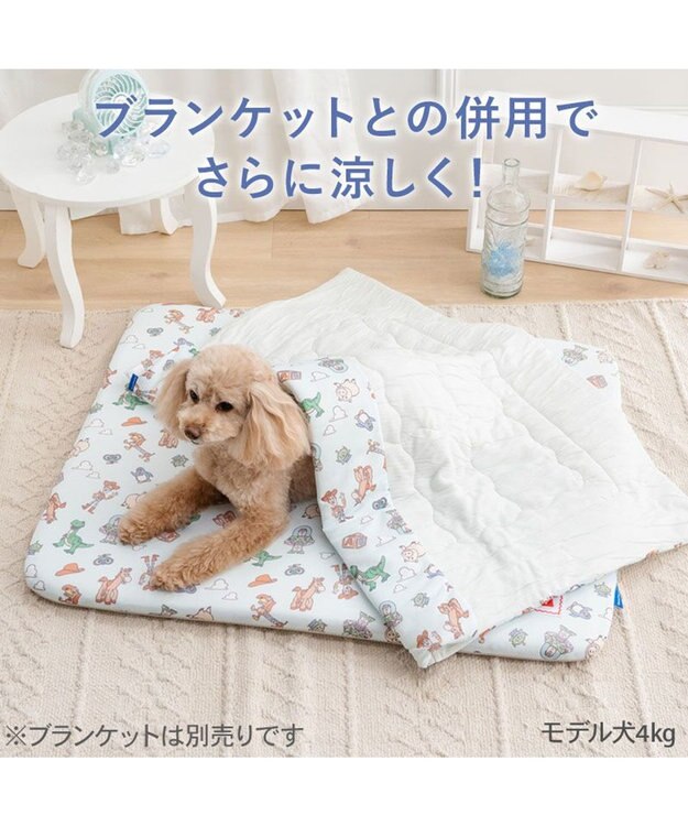 PET PARADISE ディズニー トイ・ストーリー もちっと クール マット Ｍ  《総柄》 ライトブルー