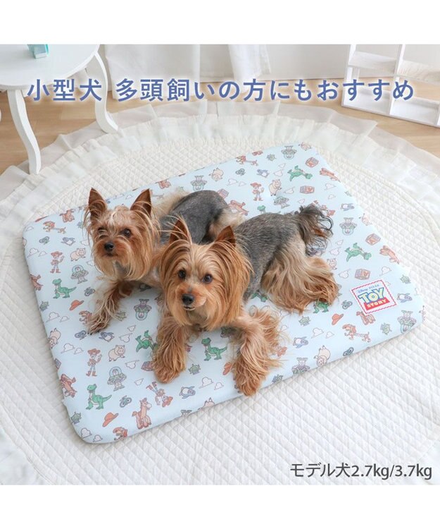 PET PARADISE ディズニー トイ・ストーリー もちっと クール マット Ｍ  《総柄》 ライトブルー