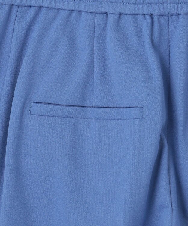 自由区 【洗える】ライトフィールジャージーワイドストレート パンツ ブルー