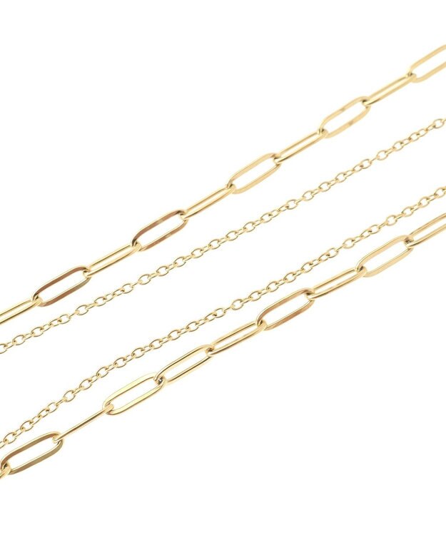 AMERICAN HOLIC ステンレス　ＣＯＩＮ２連ネックレス Gold