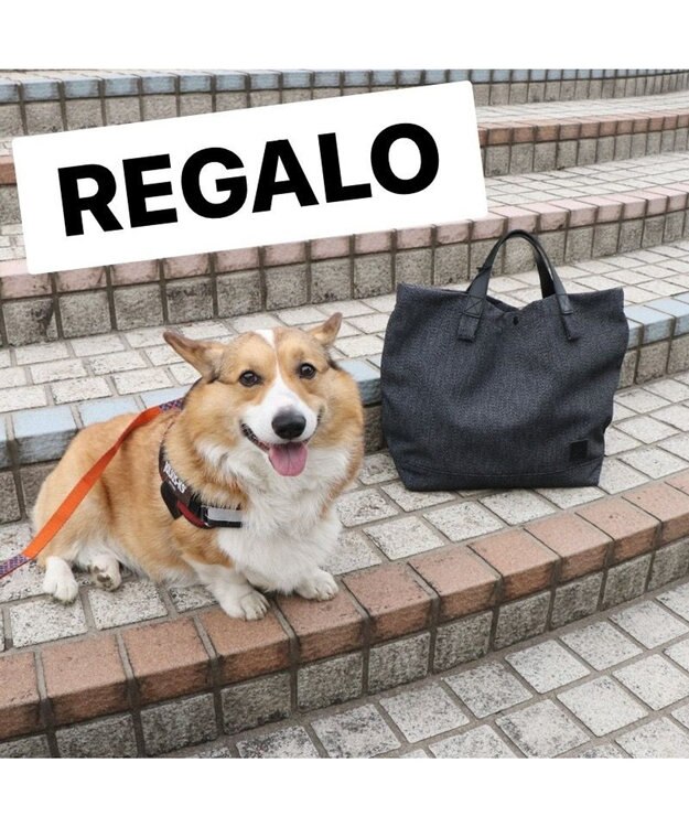 Regalo Felice 【軽量 / 弱撥水 / お散歩バッグにもオススメ】トート / REGALO BKS(ブラック×背伸び)