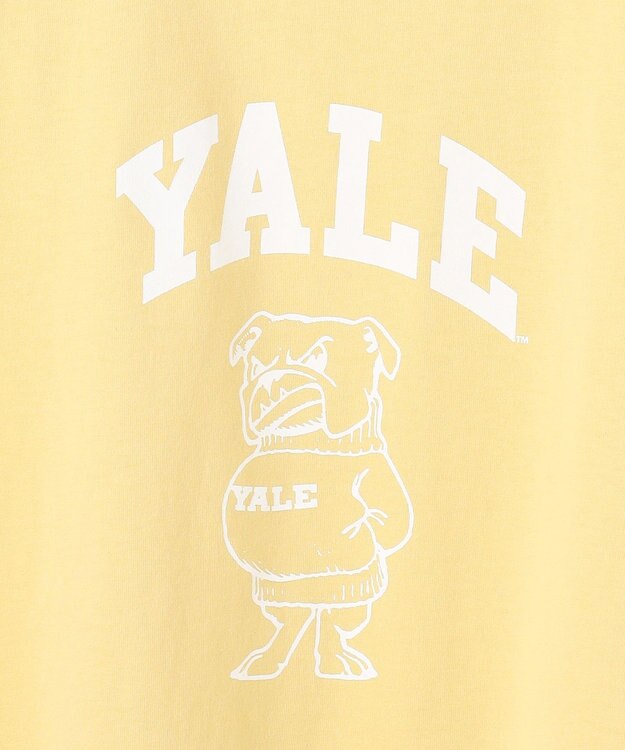 J.PRESS YORK STREET 【UNISEX】YALEアーチロゴ Tシャツ イエロー系