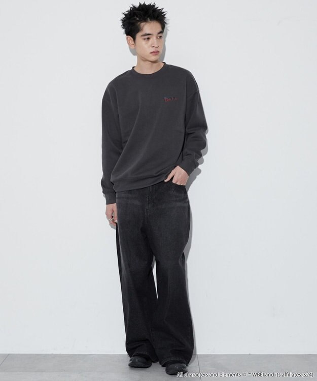 WEGO 【ユニセックス着用ITEM】TOMandJERRYグラフィックプルオーバー 柄48