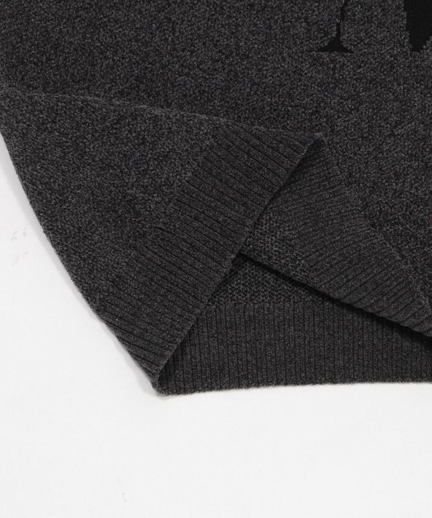 WEGO 【ユニセックス着用ITEM】ベロアモールグラフィックプルオーバー スミクロ