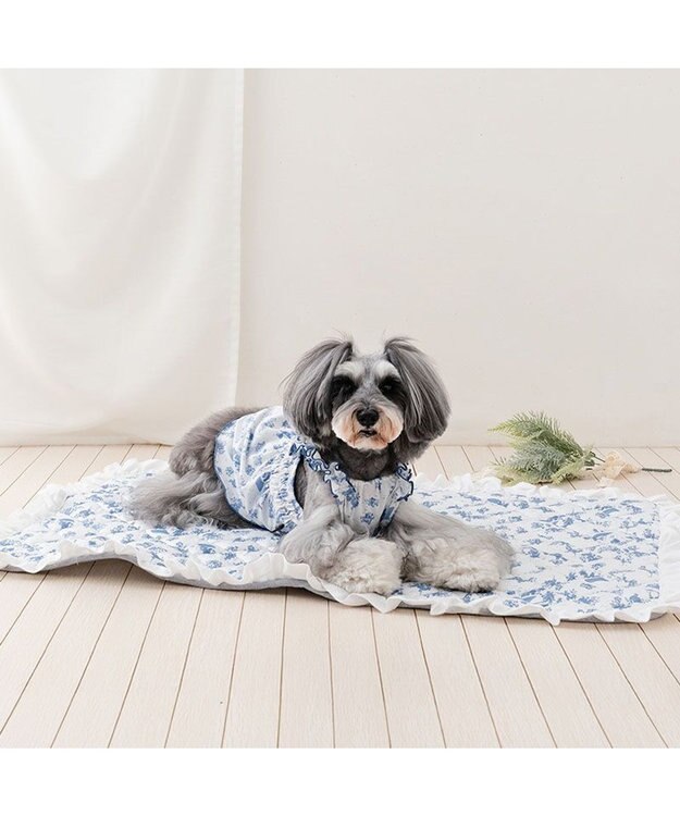 PET PARADISE ペットパラダイス エコメイド 天竺 キャミソール 《トワルドジュイ》小型犬 ホワイト×ブルー