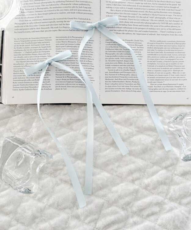 WEGO L2Pロングナローリボンクリップ サックス