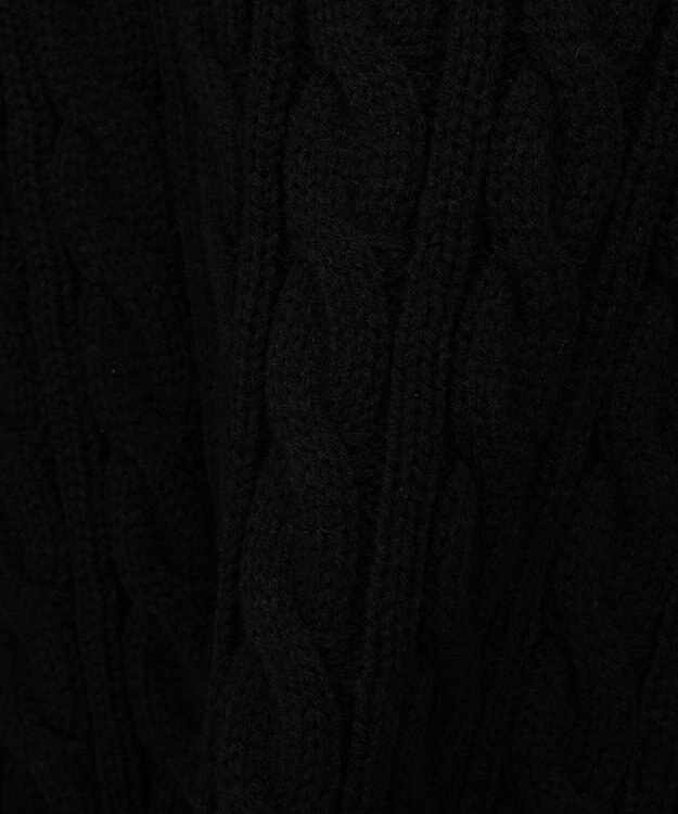 Green Parks ・ｓｗｉｎｇ　ｂｙ　ラインケーブルタートルニット Black