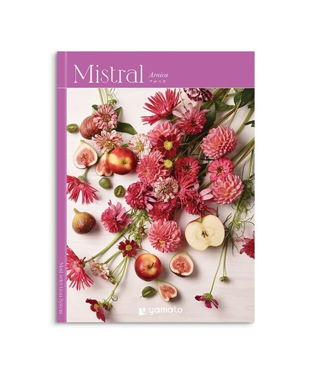 antina gift studio Mistral(ミストラル) ギフトカタログ＜アルニカ＞ -