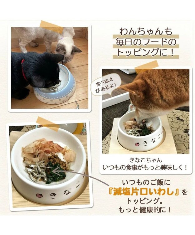 PET PARADISE ペットパラダイス 犬 おやつ デリスタイル8種類 ヘルシー系セット -