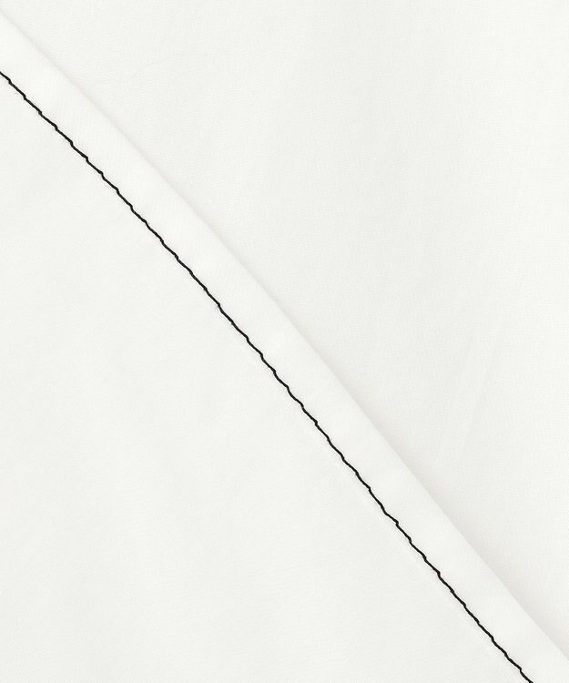 BEIGE， AXI / 刺繍ステッチ ドルマンスタンドブラウス Ecru