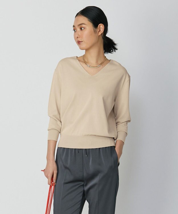 ICB 【WEB限定カラーあり・洗える】シンセティックハイゲージ Vネックプルオーバー ベージュ系