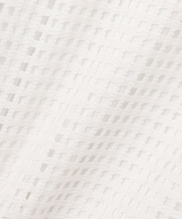 Feroux 【洗える】シアーチェックラッセル ワンピース ホワイト系