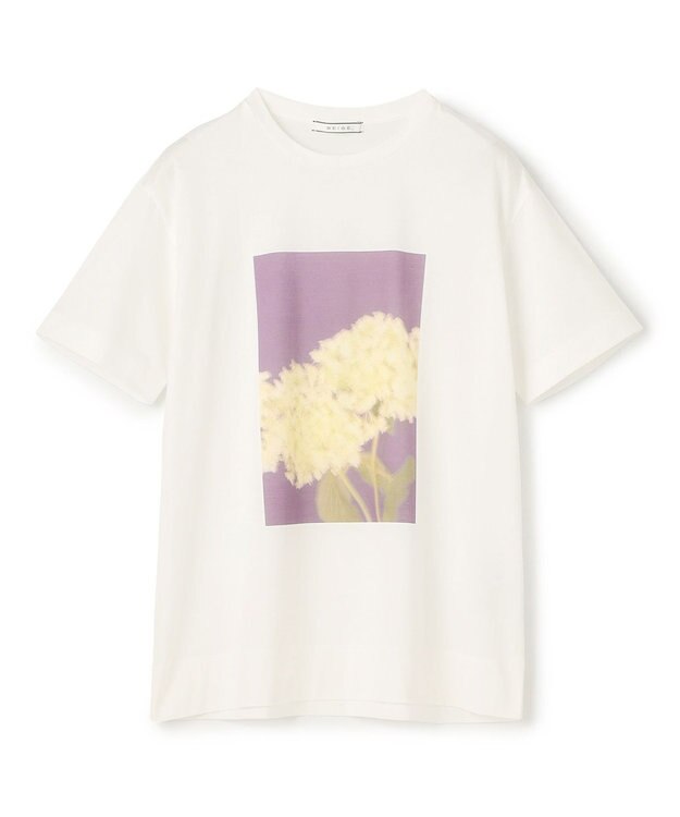 BEIGE， 【洗える・クロワッサン 掲載】PENTAS / オリジナルフォトプリントＴシャツ Annabelle