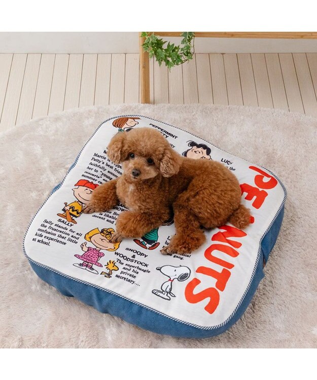PET PARADISE スヌーピー フレンズ クッション フレンズ柄