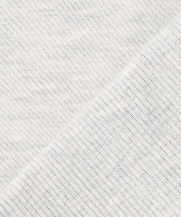 J.PRESS MEN 【Pennant Label】Sweatshirt / Yale ライトグレー系