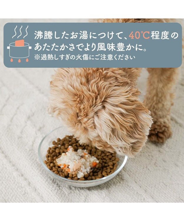 PET PARADISE 愛犬にやさしい スープごはん 鶏 0