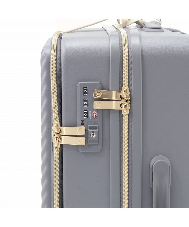 ACE BAGS & LUGGAGE Jewelna Rose HaNT ×Jewelna Rose コラボ スーツケース 機内持ち込み フロントオープン 34L 06820 ジュエルナローズ ラベンダーグレー