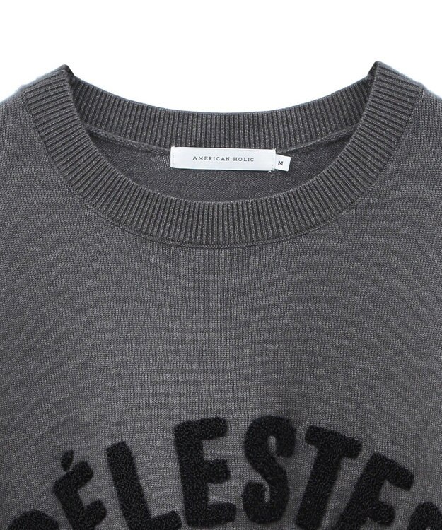 AMERICAN HOLIC バイパチＣＥＲＥＳＴＥＳロゴニットプルオーバー Gray Mixture