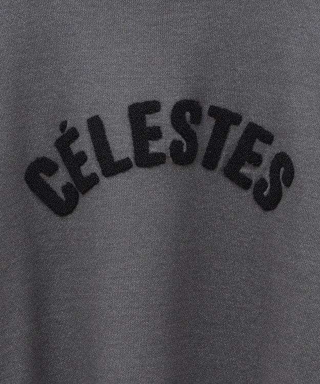 AMERICAN HOLIC バイパチＣＥＲＥＳＴＥＳロゴニットプルオーバー Gray Mixture