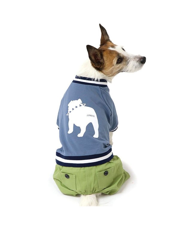 PET PARADISE J.PRESS バックブルドッグ パンツつなぎ 小型犬 ブルー