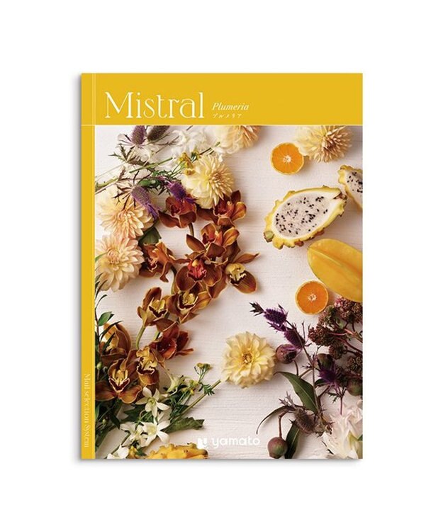 antina gift studio Mistral(ミストラル) ギフトカタログ＜プルメリア＞ -