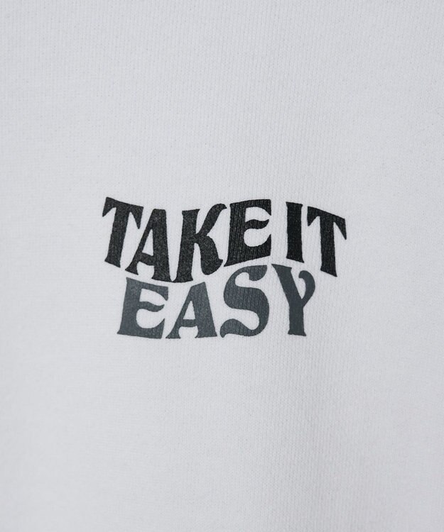 WEGO ヘビーウエイトファンシーロゴプルオーバー 柄1