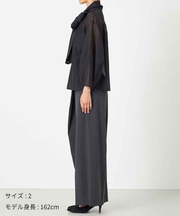 NAVE 【Nave・手洗い可】オーガンジーブラウス ブラック系