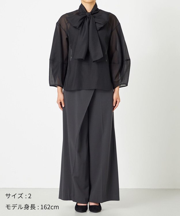 NAVE 【Nave・手洗い可】オーガンジーブラウス ブラック系