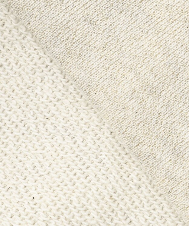 J.PRESS LADIES 【WEB限定カラーあり】ラメ裏毛 カットソー 【WEB限定】ベージュ系