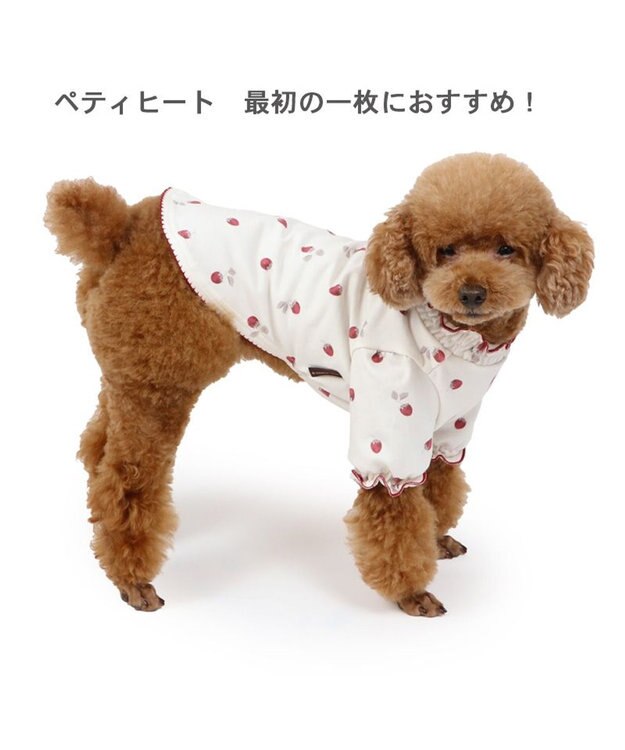 PET PARADISE ペットパラダイス ペティヒート Tシャツ 《苺柄》 小型犬 超小型犬 苺柄