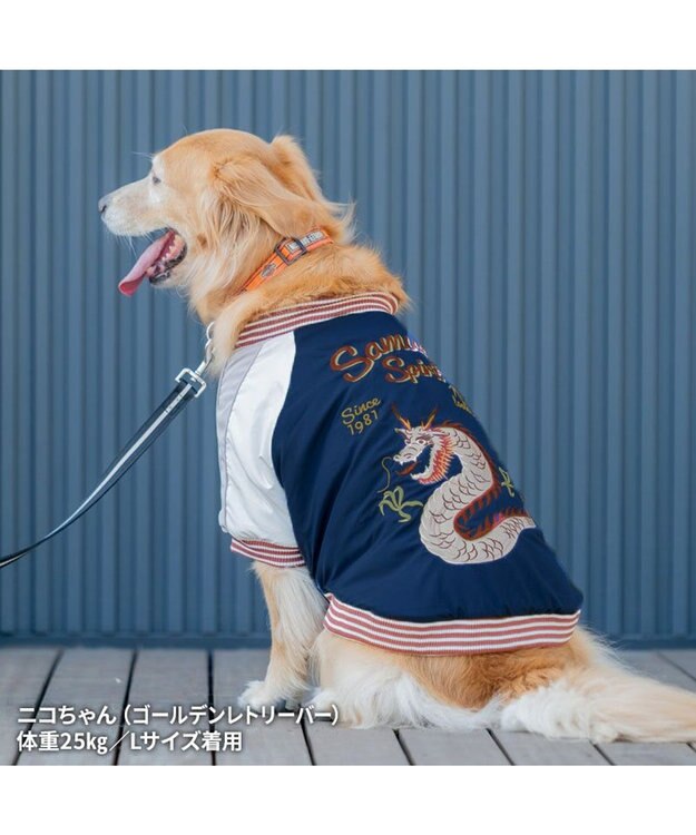 PET PARADISE ペットパラダイス 遠赤外線 スカジャン 《龍》 中型犬 大型犬 ネイビー