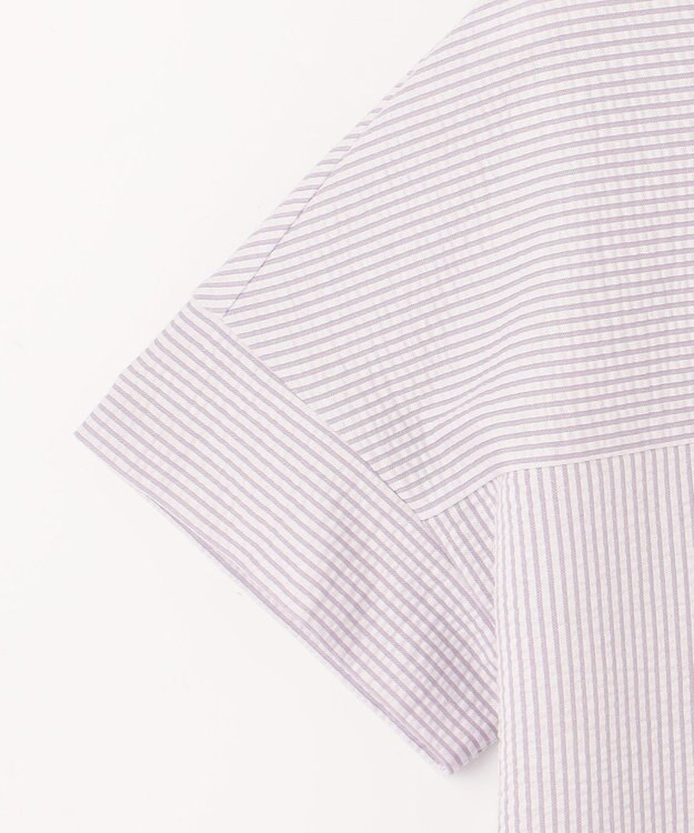 J.PRESS LADIES L 【WEB限定カラーあり・抗菌消臭・吸水速乾】サッカージャージー フレンチスリーブ カットソー ふじ色系1