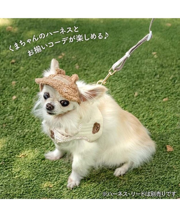 PET PARADISE ペットパラダイス くまちゃん キャップ ４Ｓ～３Ｓ/ＳＳ～Ｓ ブラウン