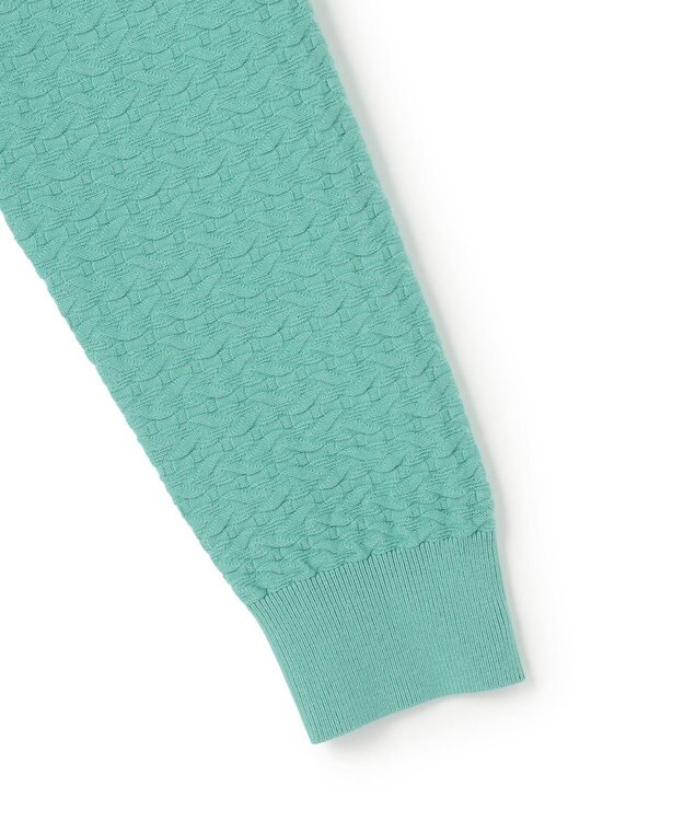 JOSEPH HOMME 新柄【イージーケア】 ヴィスコースリンクス　クルーネックニット スモーキーグリーン系