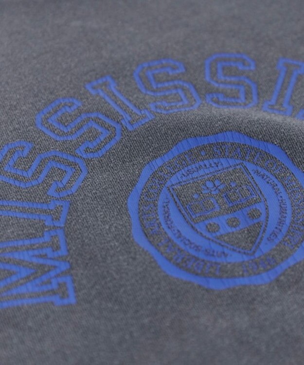 WEGO 【ANGIE VINTAGE】ピグメントカレッジロゴショートスウェット ブラック