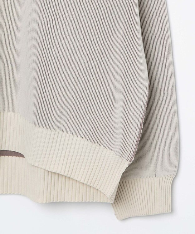 WEGO クリアライトリバーシブルプルオーバー ホワイト