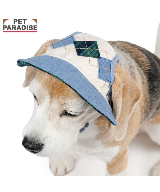 PET PARADISE ペットパラダイス アーガイル柄 帽子 ＳＭ～Ｍ/Ｌ ライトインディゴブルー