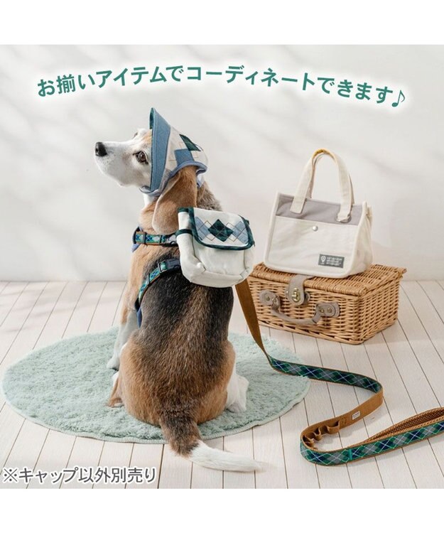 PET PARADISE ペットパラダイス アーガイル柄 帽子 ＳＭ～Ｍ/Ｌ ライトインディゴブルー