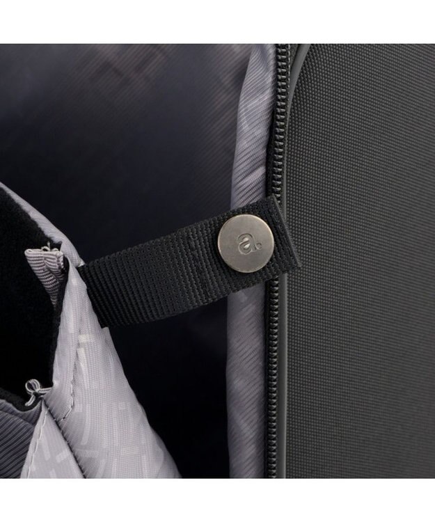 ACE BAGS & LUGGAGE ace.GENE エース フレックスルーフ2 ビジネストローリー 機内持ち込みサイズ 2-3泊 67571 ブラック