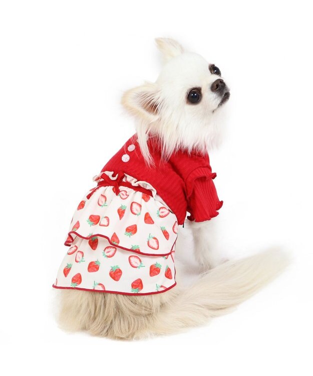PET PARADISE 犬の服 犬 ワンピース 【小型犬】 苺柄 リブ ピンク レッド レット×ホワイト