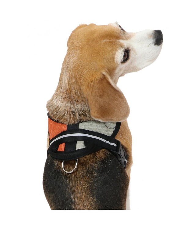 PET PARADISE ヘッドインハーネス  【ＳＭ】 オレンジ / ブルー 【中型犬】 オレンジ×グレー
