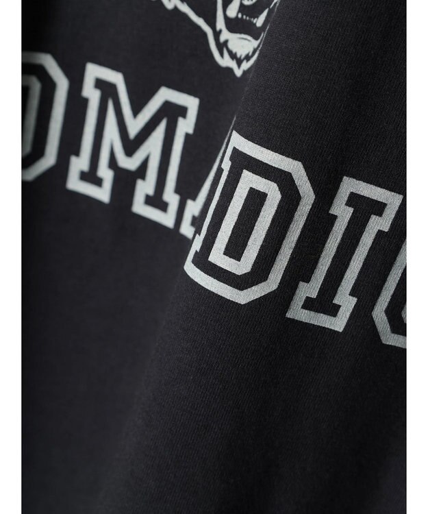 AMERICAN HOLIC ＴＩＧＥＲカットＴＥＥ Charcoal Gray